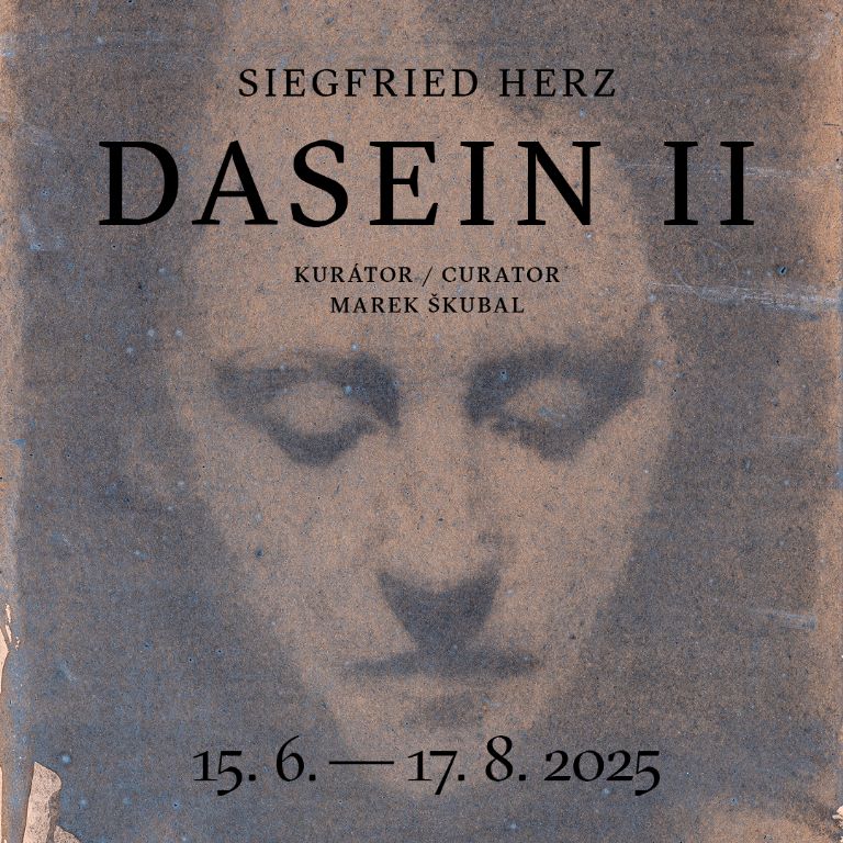 Siegfried Herz / Dasein II. 